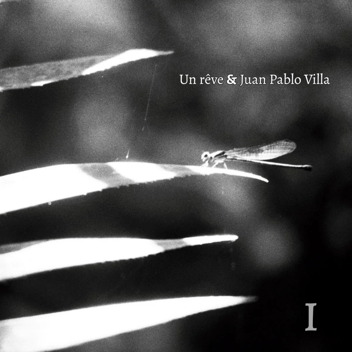 Portada de I