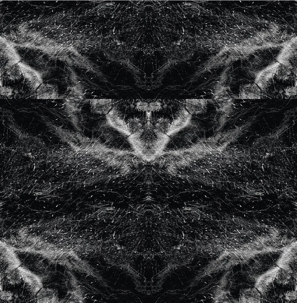 Portada de Six Asymmetric Studies